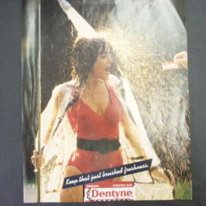 Dentyne Chewing Gum, original magazine Advert, c.1960's